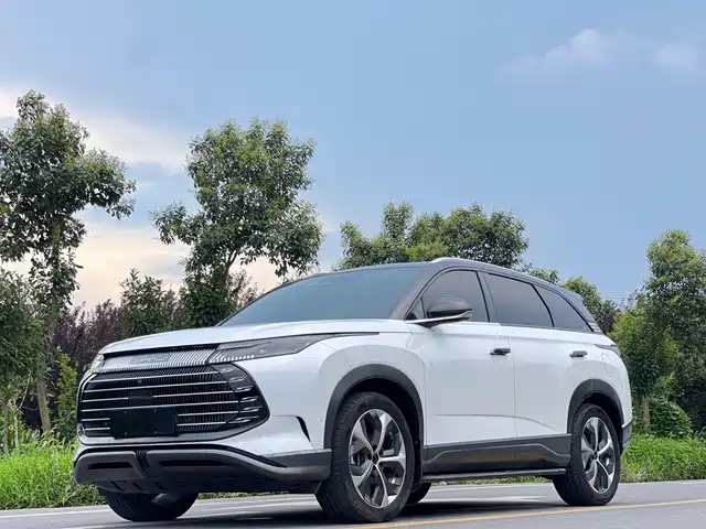 2023 BYD Frigate 07