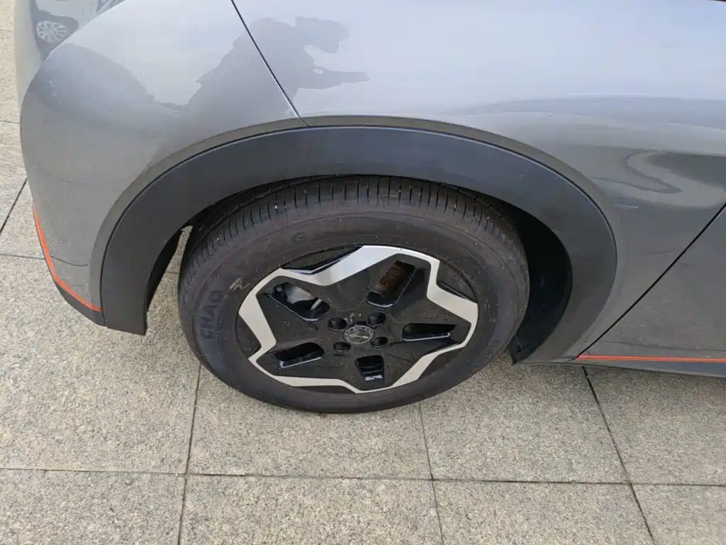 BYD Dolphin — миниатюра 23