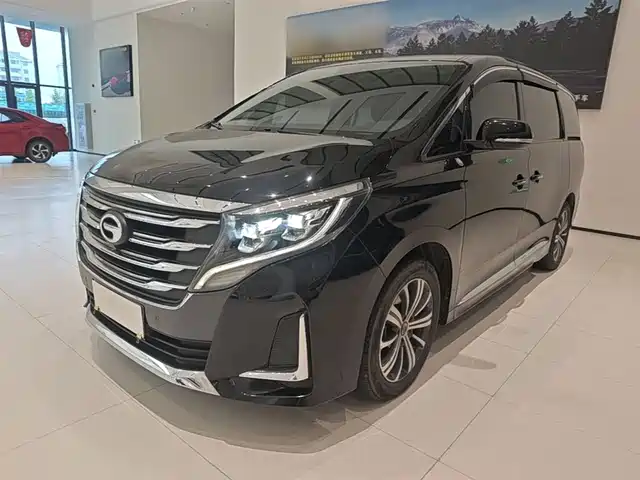 2020 GAC GN8