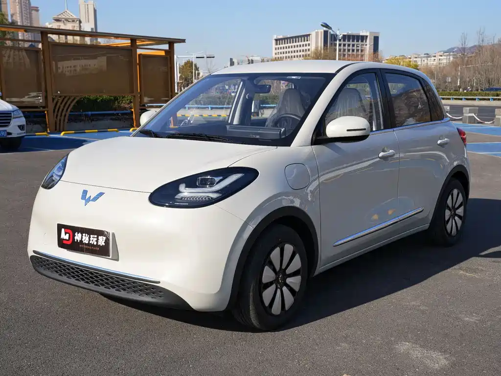 Wuling Bingo 2024