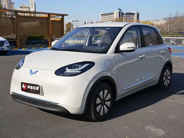 2024 Wuling Motors Binguo