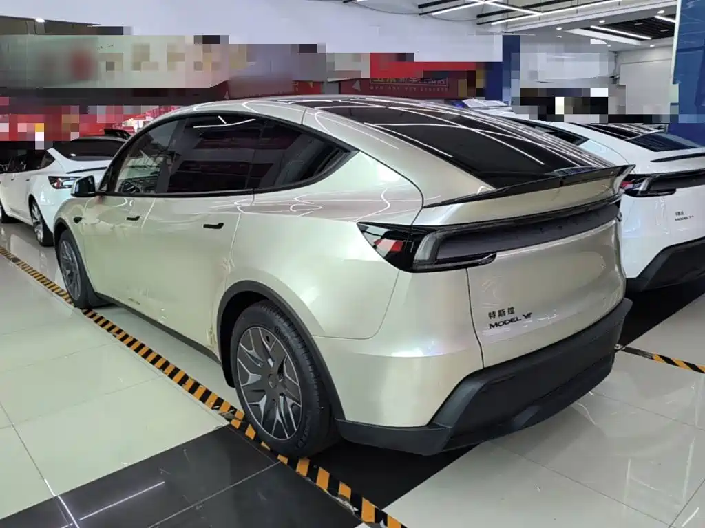 Tesla Model Y L — миниатюра 5