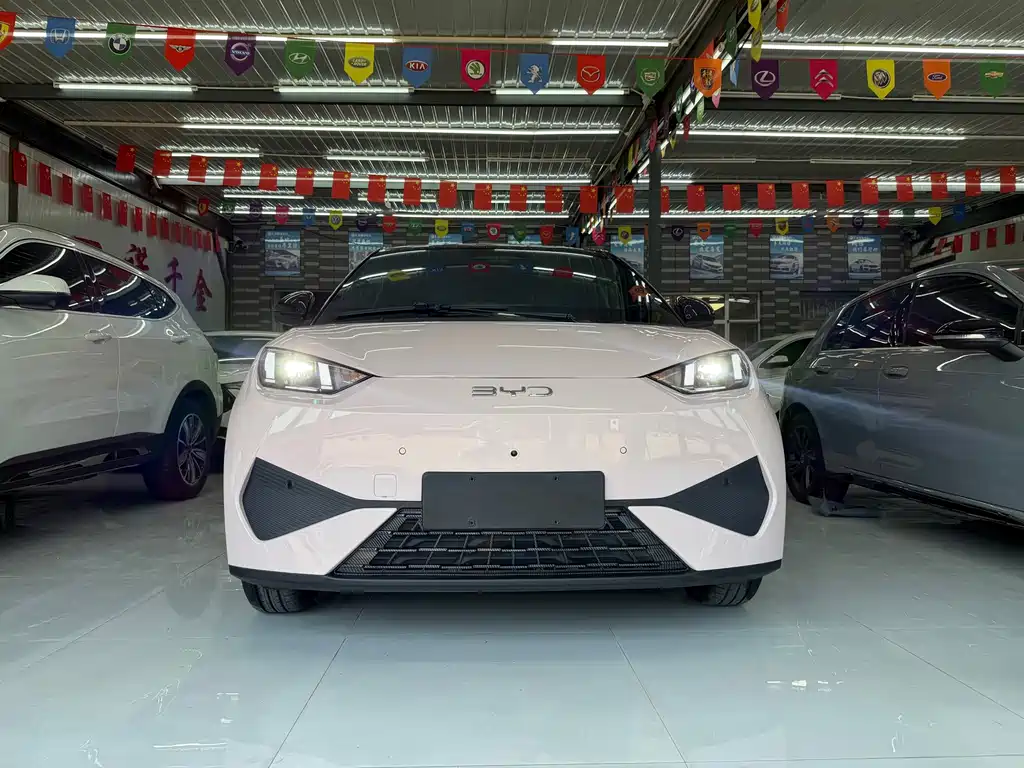 BYD Seagull — миниатюра 2