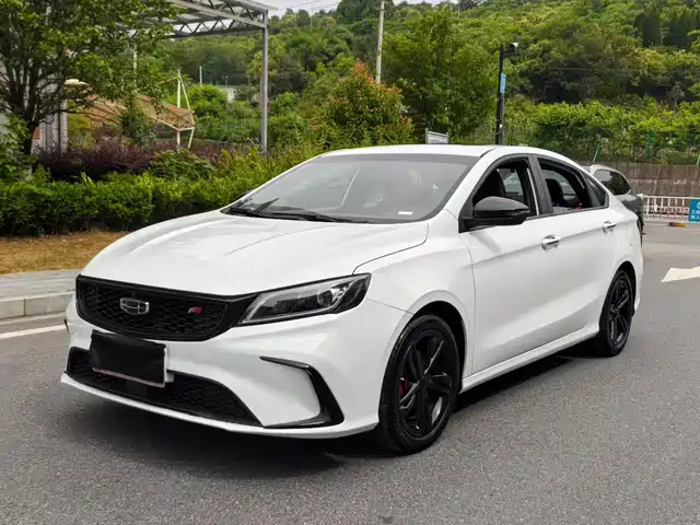 2021 Geely Binrui