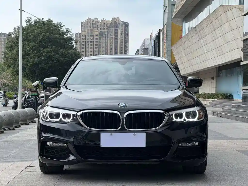 BMW 5 Series — миниатюра 5