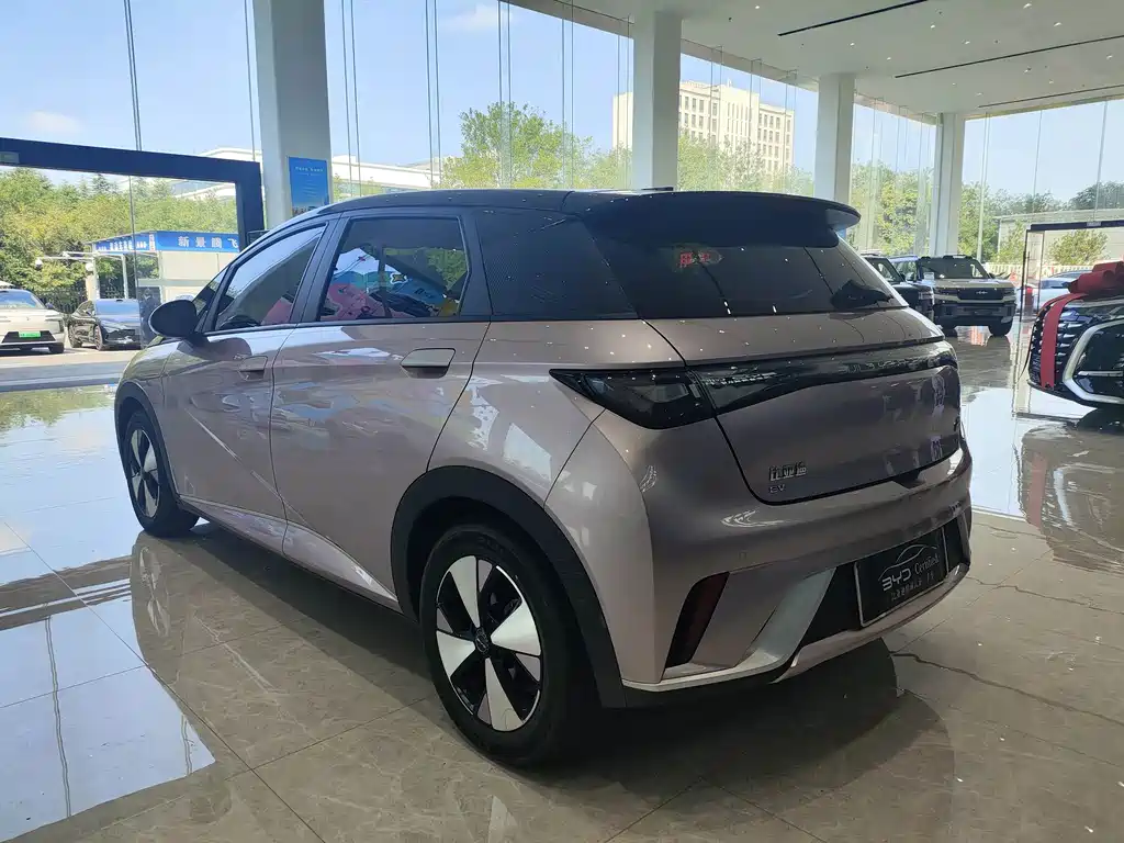 BYD Dolphin — миниатюра 7