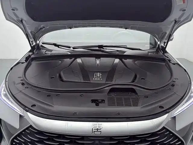 BYD Tang New Energy — миниатюра 11