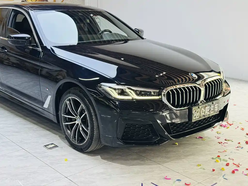 BMW 5 Series — миниатюра 5