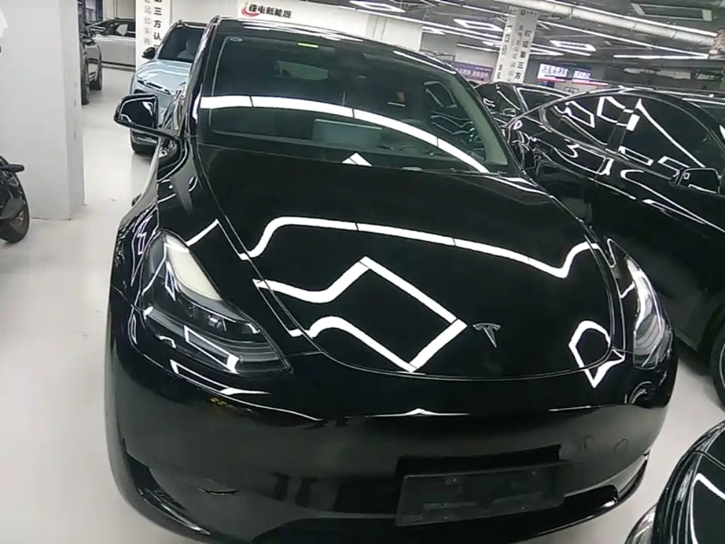 Tesla Model Y — миниатюра 3