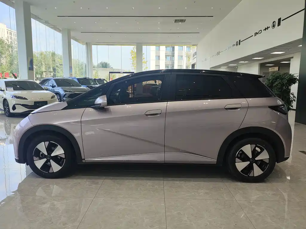 BYD Dolphin — миниатюра 8