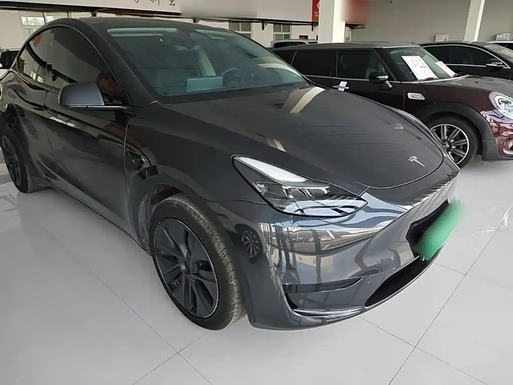 Tesla Model Y — миниатюра 4