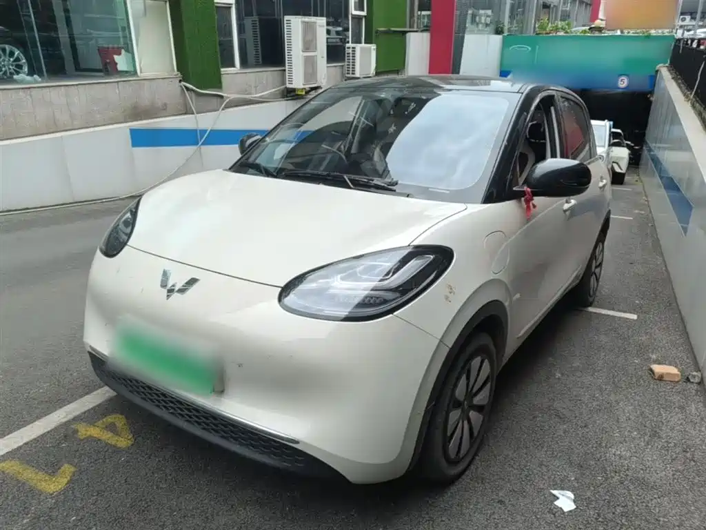 Wuling Bingo 2024