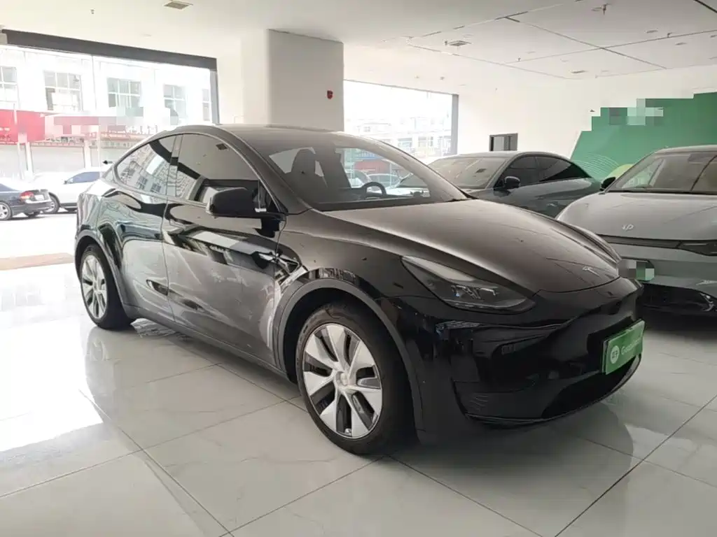 Tesla Model Y — миниатюра 4