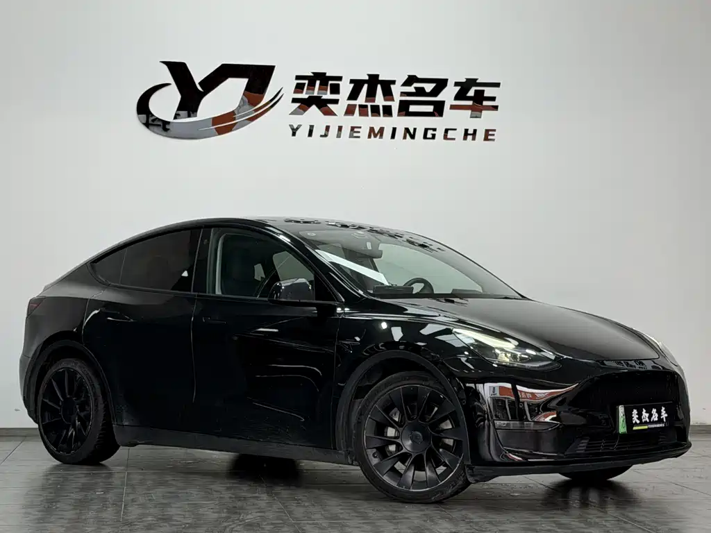 Tesla Model Y — миниатюра 3