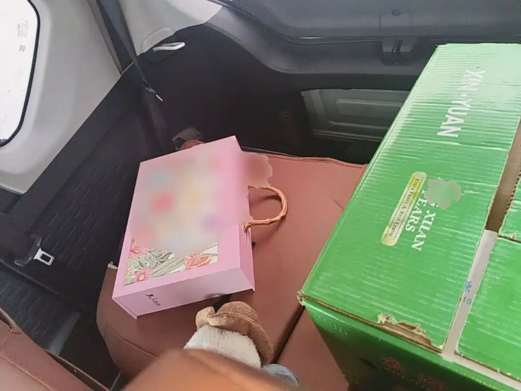 Wuling MINIEV — миниатюра 17