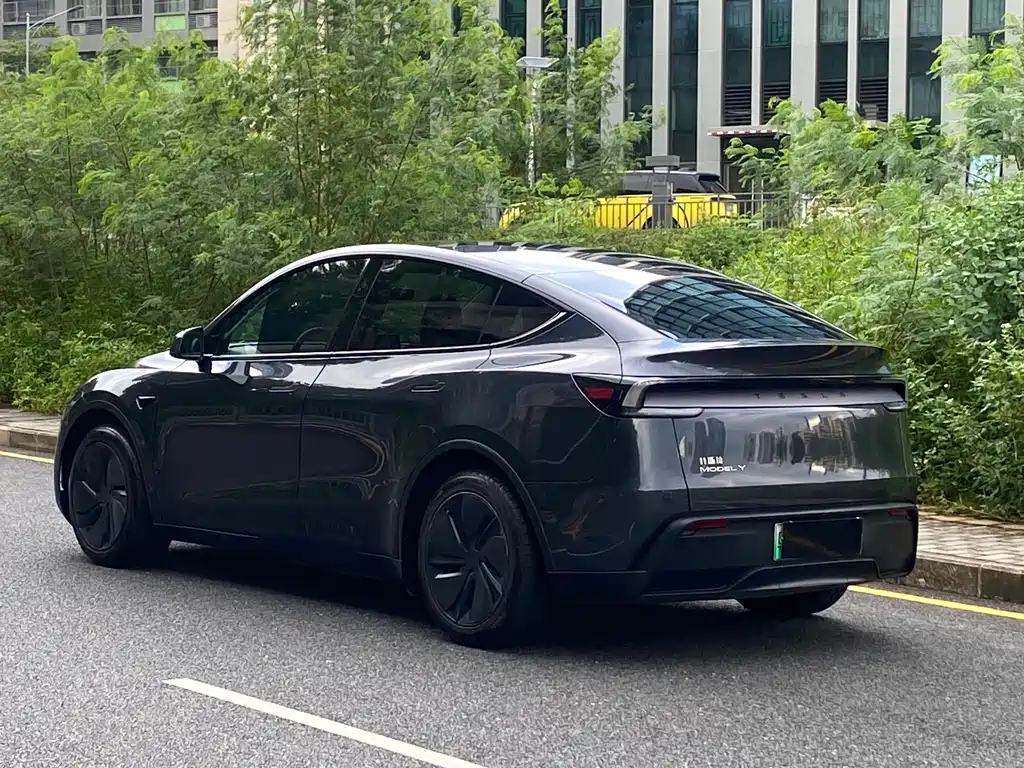 Tesla Model Y — миниатюра 5