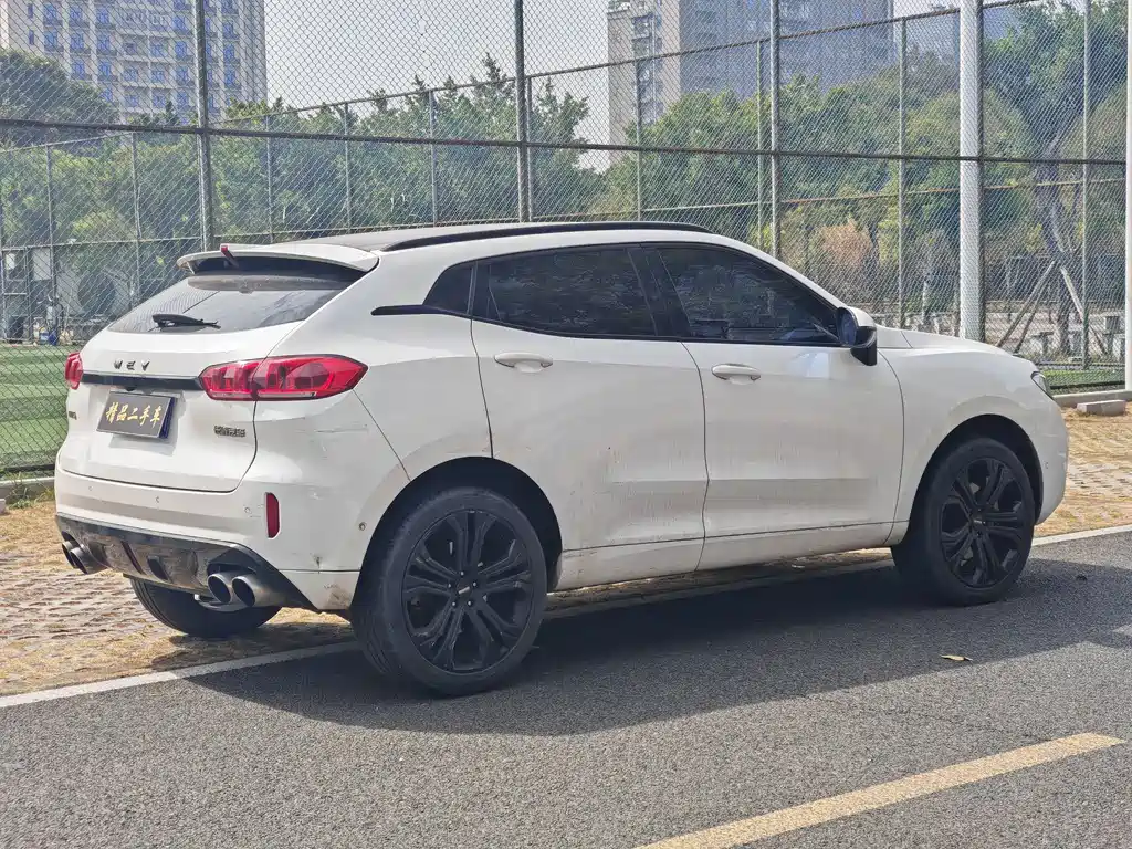 WEI PAI WEI BRAND VV5