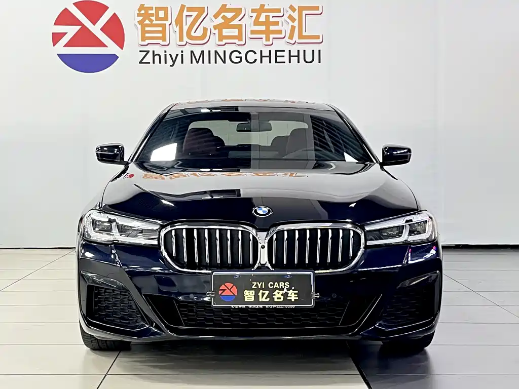 BMW 5 Series — миниатюра 2