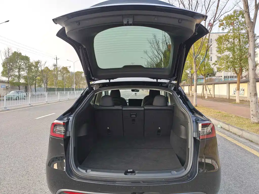 Tesla Model Y — миниатюра 16