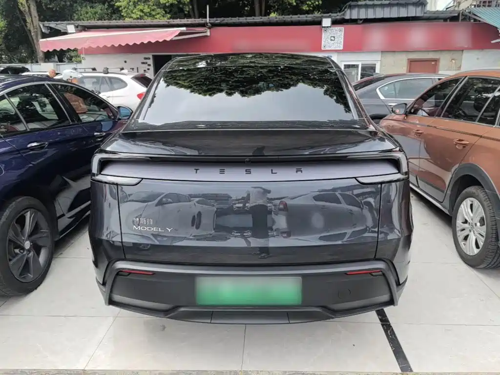 Tesla Model Y — миниатюра 6