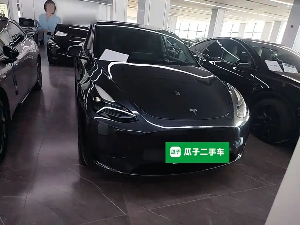 Tesla Model Y — миниатюра 3