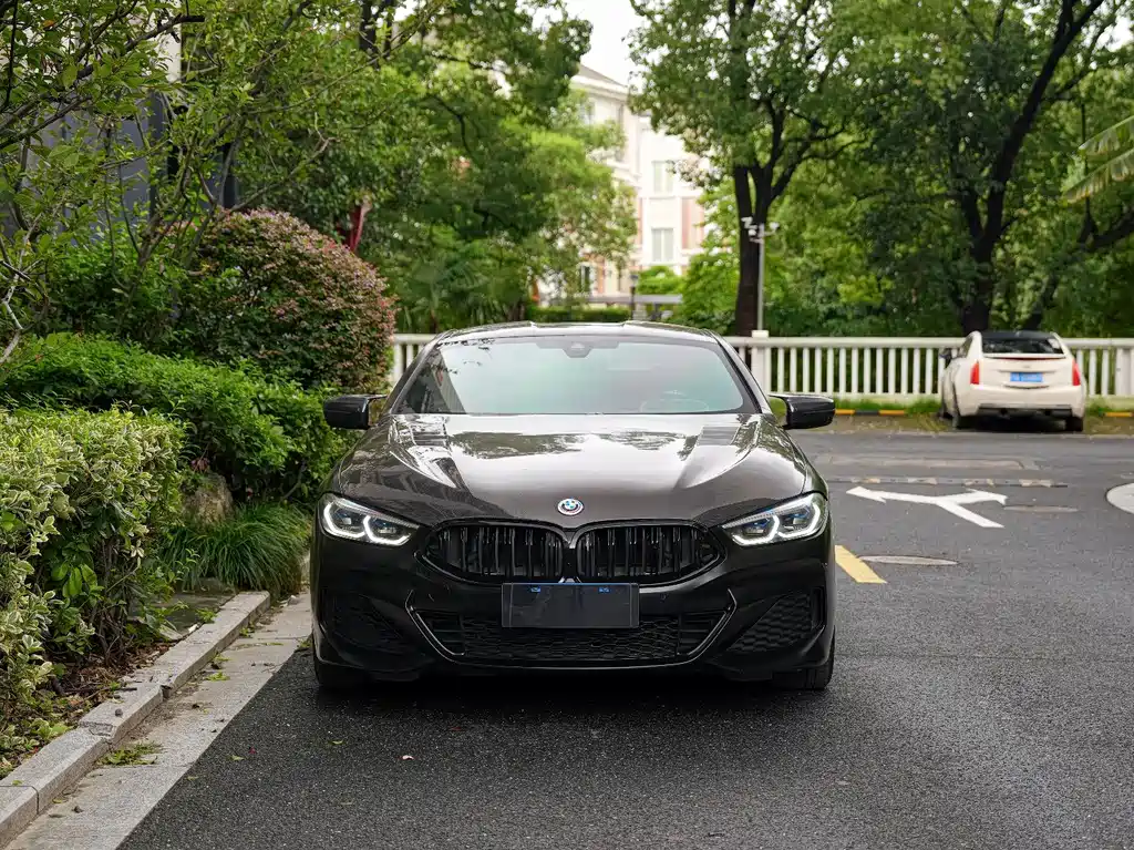 BMW 8 Series — миниатюра 4