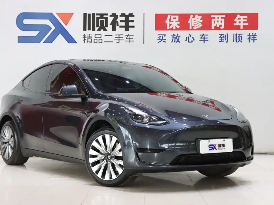 Tesla Model Y — миниатюра 3