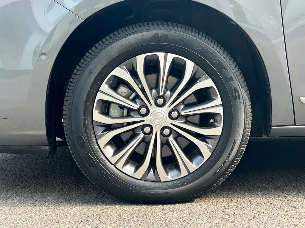 Buick GL8 — миниатюра 12