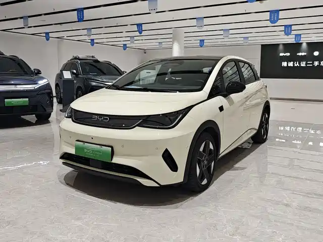 2025 BYD Dolphin