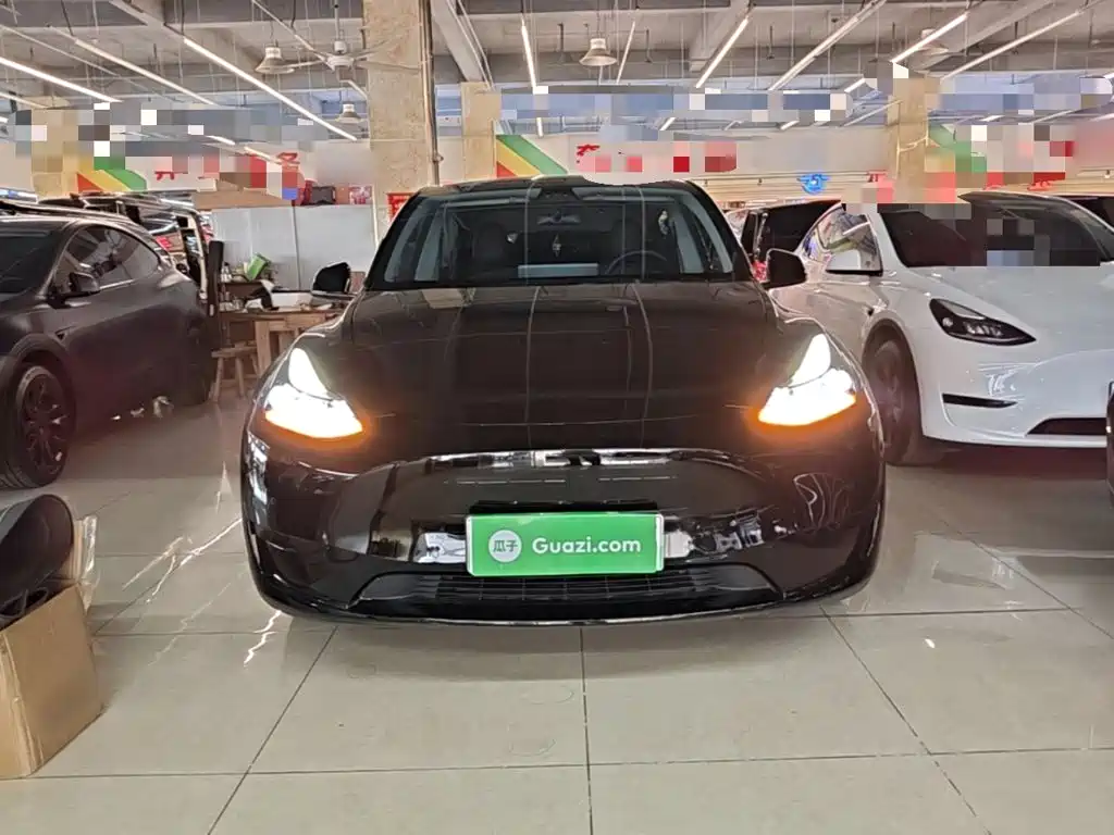 Tesla Model Y — миниатюра 3