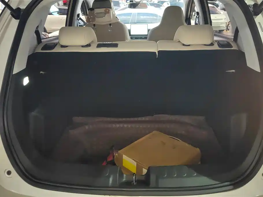 Wuling BinguoPLUS PLUS 2024 330km мест