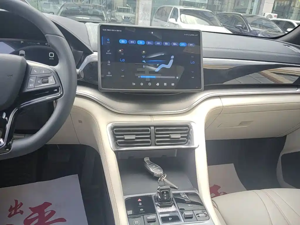 BYD PLUS New Energy — миниатюра 13