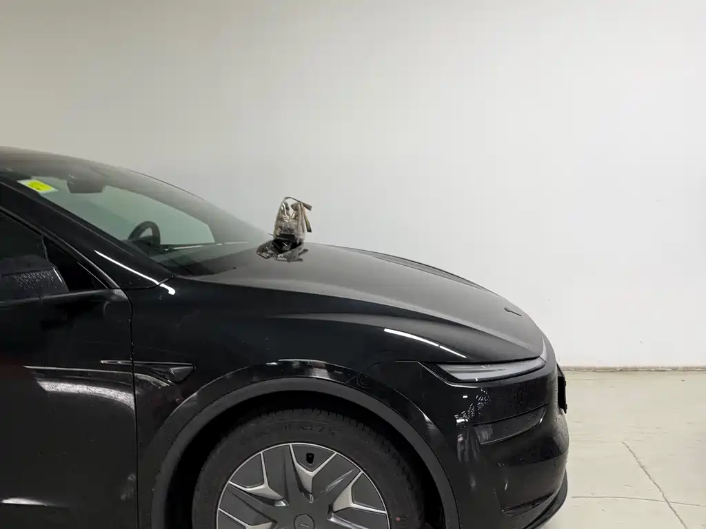 Tesla Model Y L — миниатюра 3