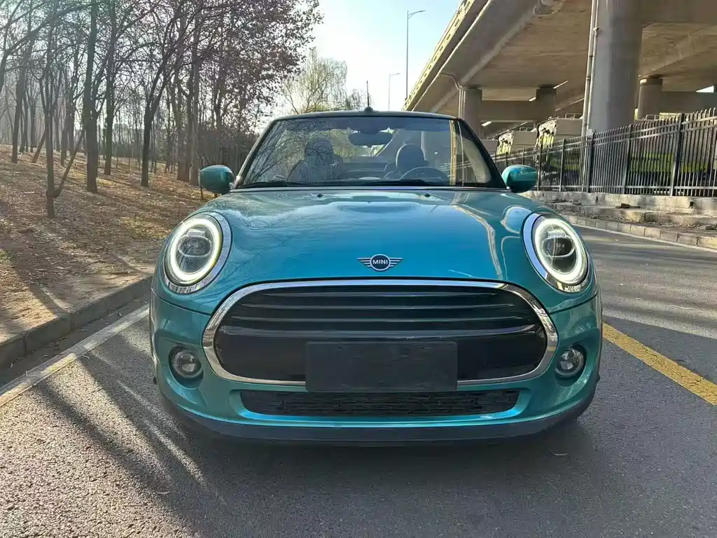 Mini Mini 2021