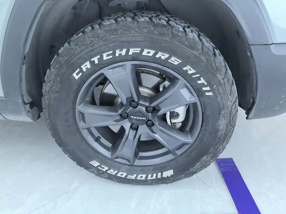 Haval Menglong New Energy — миниатюра 6