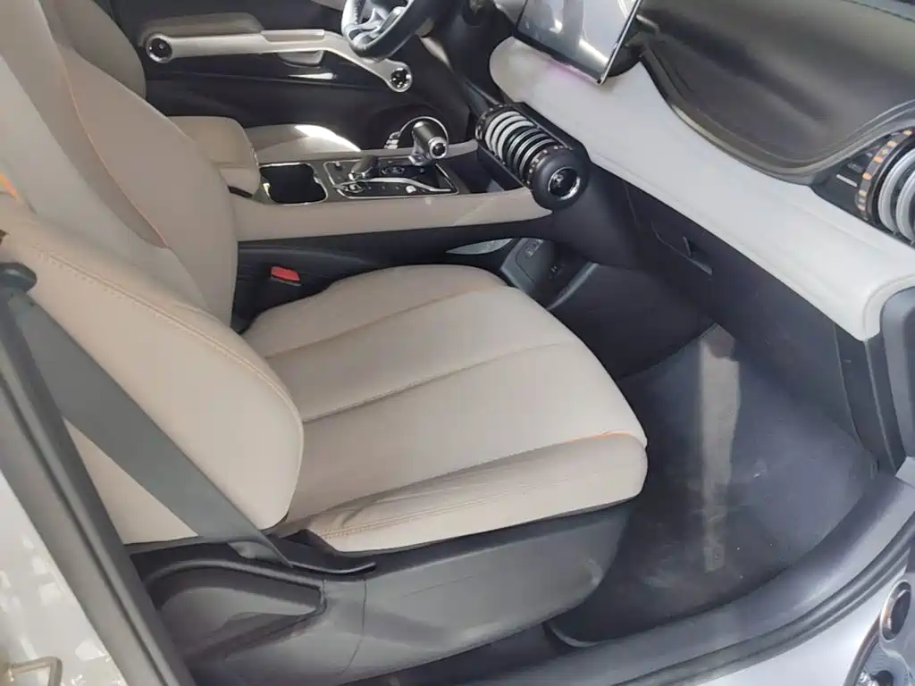 BYD Yuan Plus — миниатюра 25