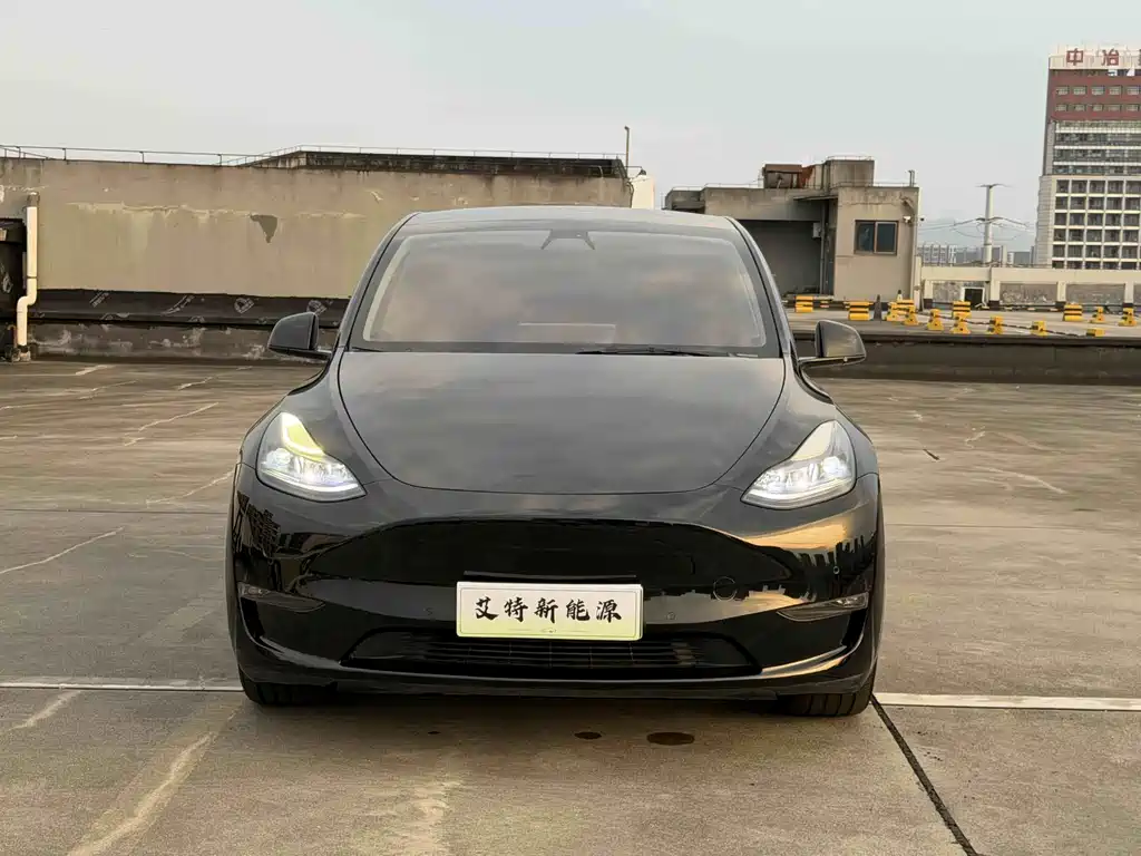 Tesla Model Y — миниатюра 2