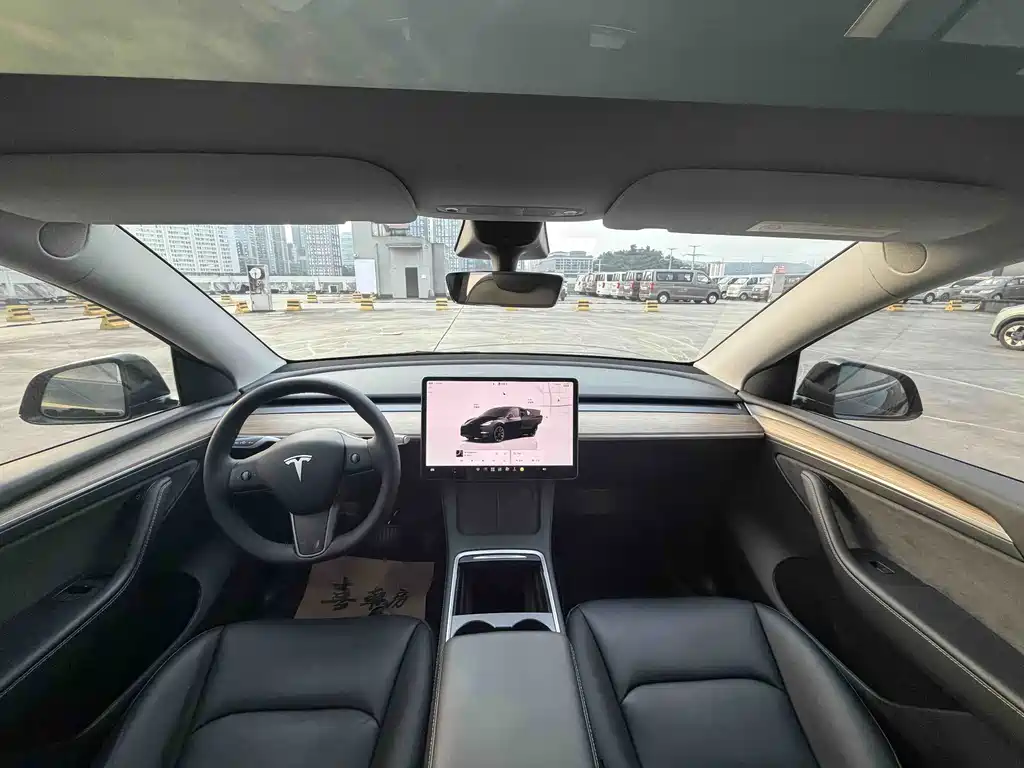 Tesla Model Y — миниатюра 8