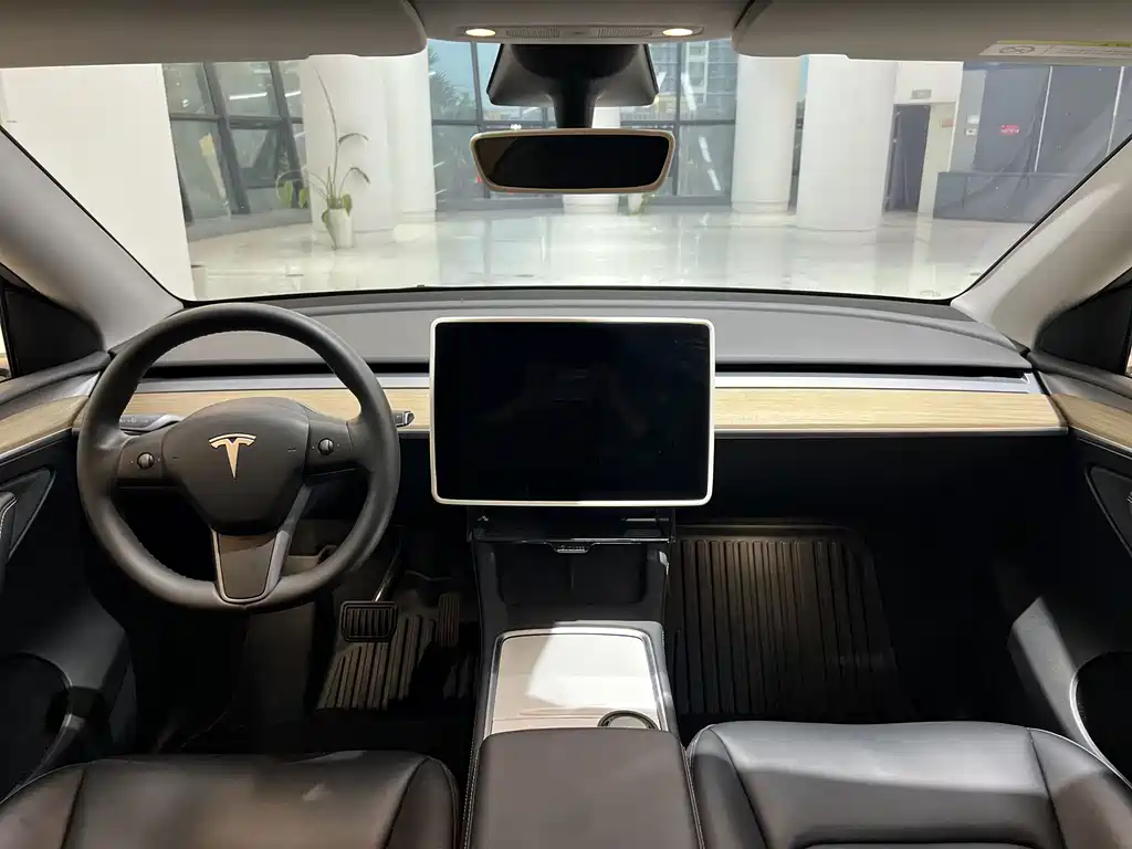 Tesla Model Y — миниатюра 3