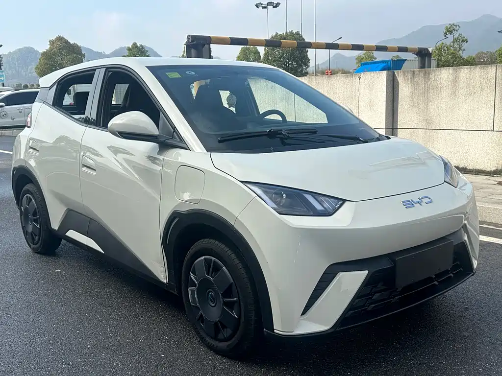 BYD Seagull 2024 305km