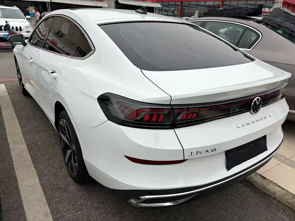 Volkswagen Lamando — миниатюра 9