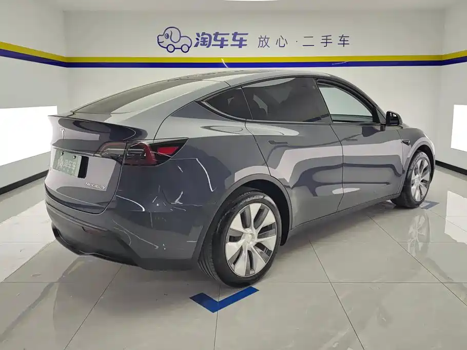 Tesla Model Y — миниатюра 3