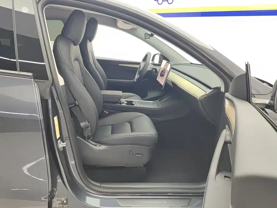 Tesla Model Y — миниатюра 8
