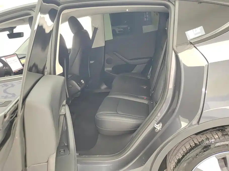 Tesla Model Y — миниатюра 11