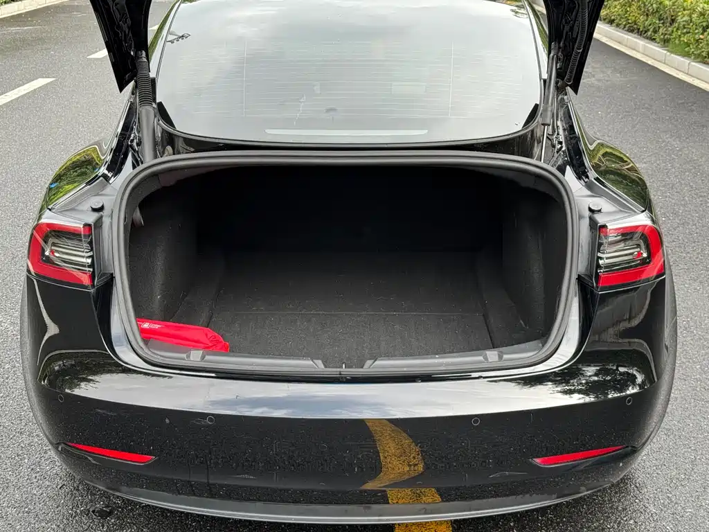 Tesla Model 3 — миниатюра 18