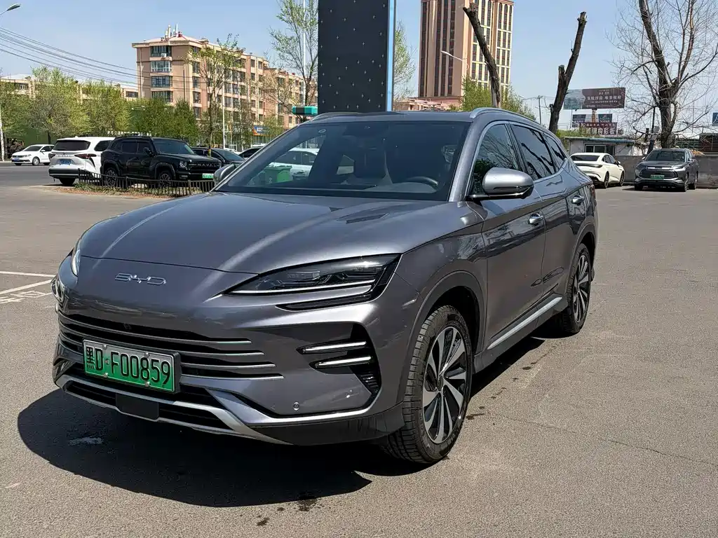 Byd PLUS New Energy 2024
