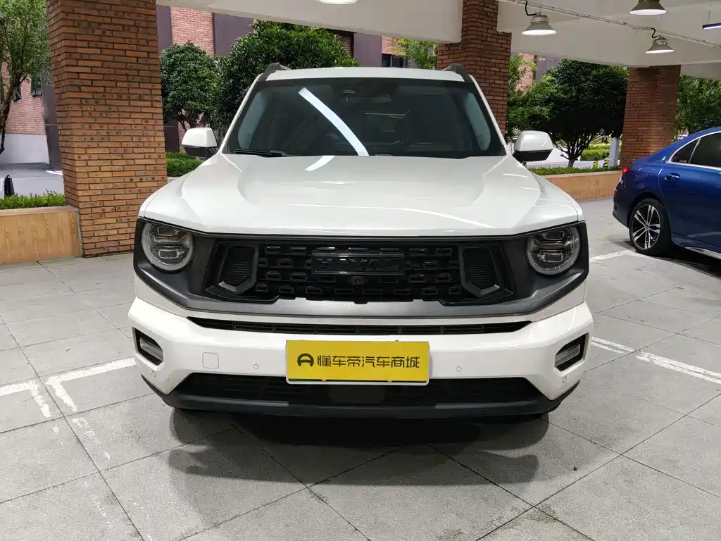 Haval Плюс новая энергия. — миниатюра 7
