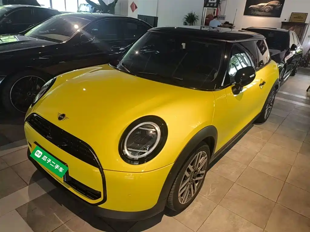 Mini Mini 2025