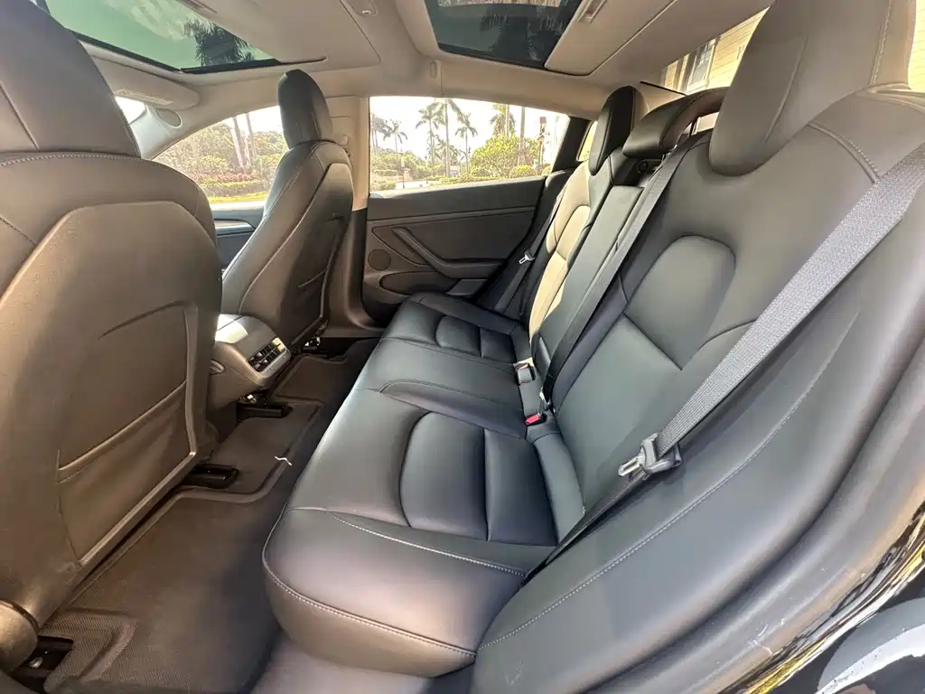 Tesla Model 3 — миниатюра 5
