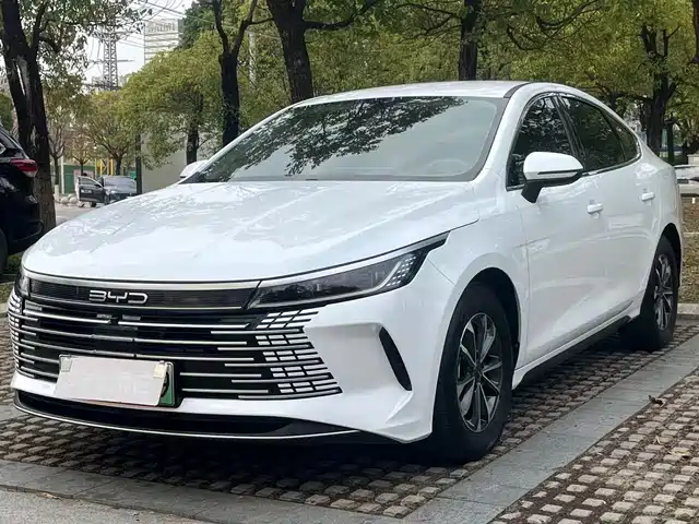 2024 BYD Destroyer